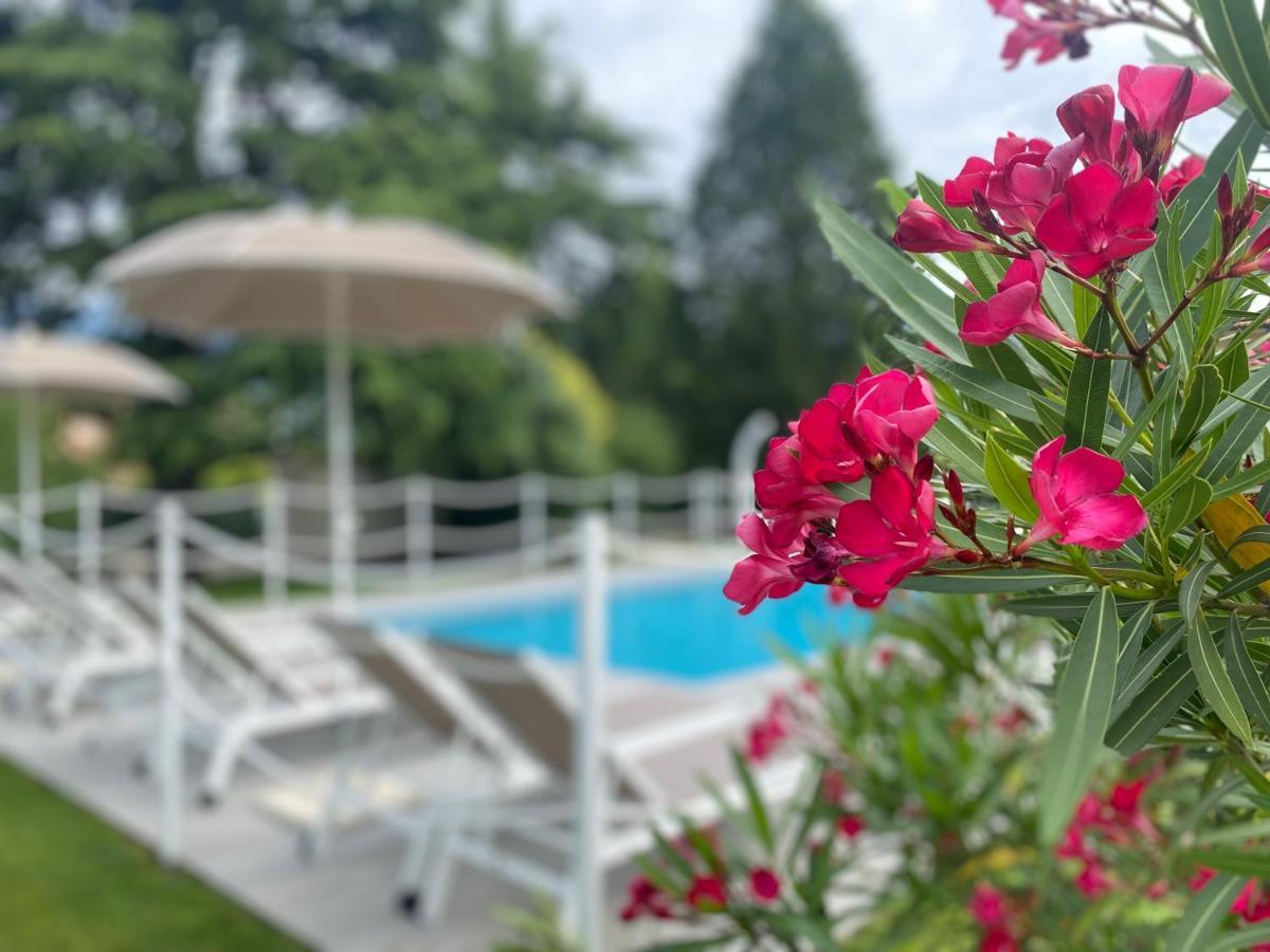 Apartmán Regina E Oriente Baveno Exteriér fotografie